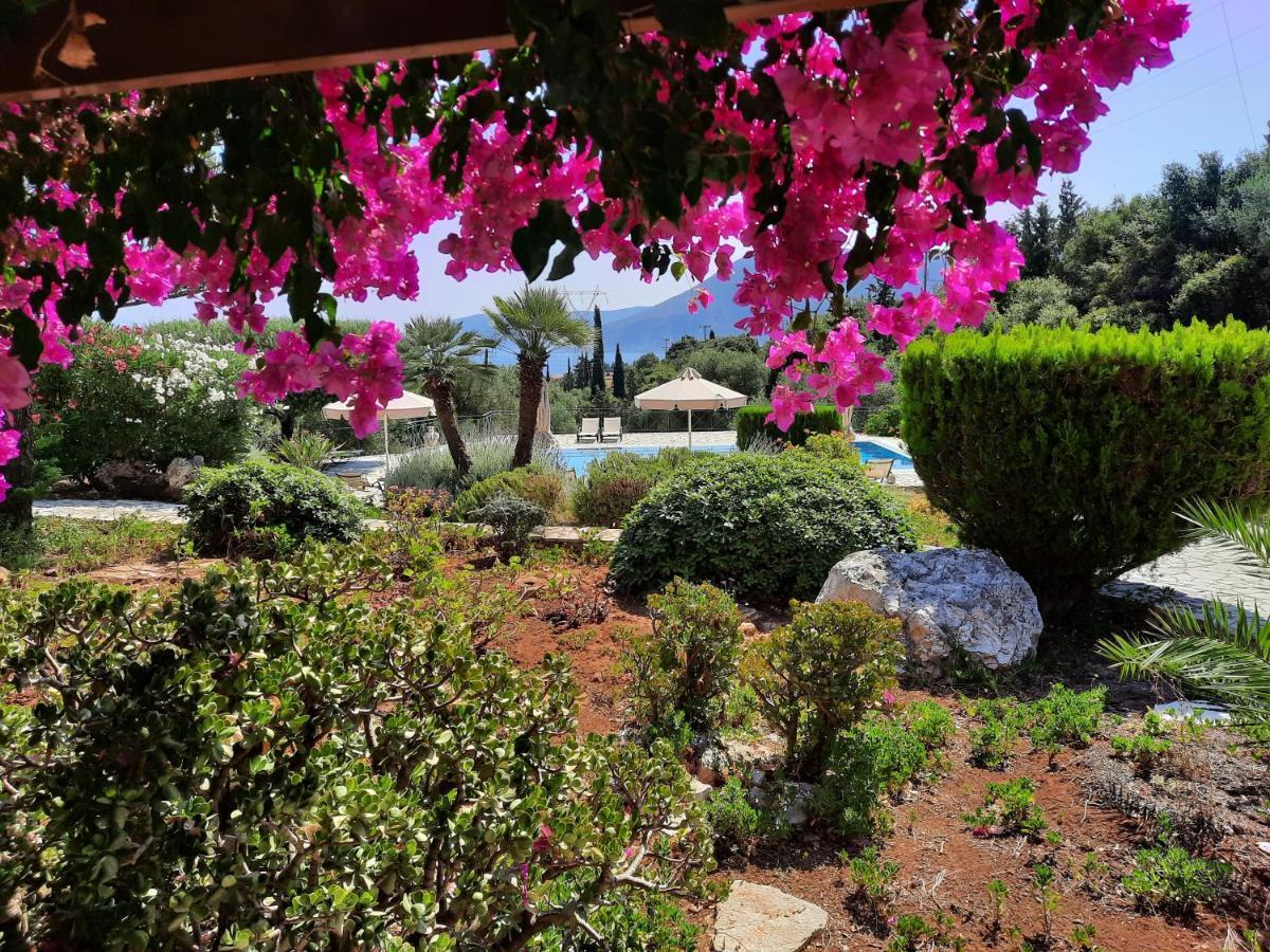 Panorama Apartments Fiscardo فيسكاردو المظهر الخارجي الصورة